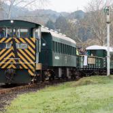 Train Trip - Waikato