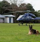 Police Dog and Chopper - Auckland