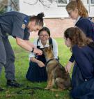 School Kids with Police Puppy - Auckland