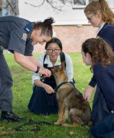 School Kids with Police Puppy - Auckland